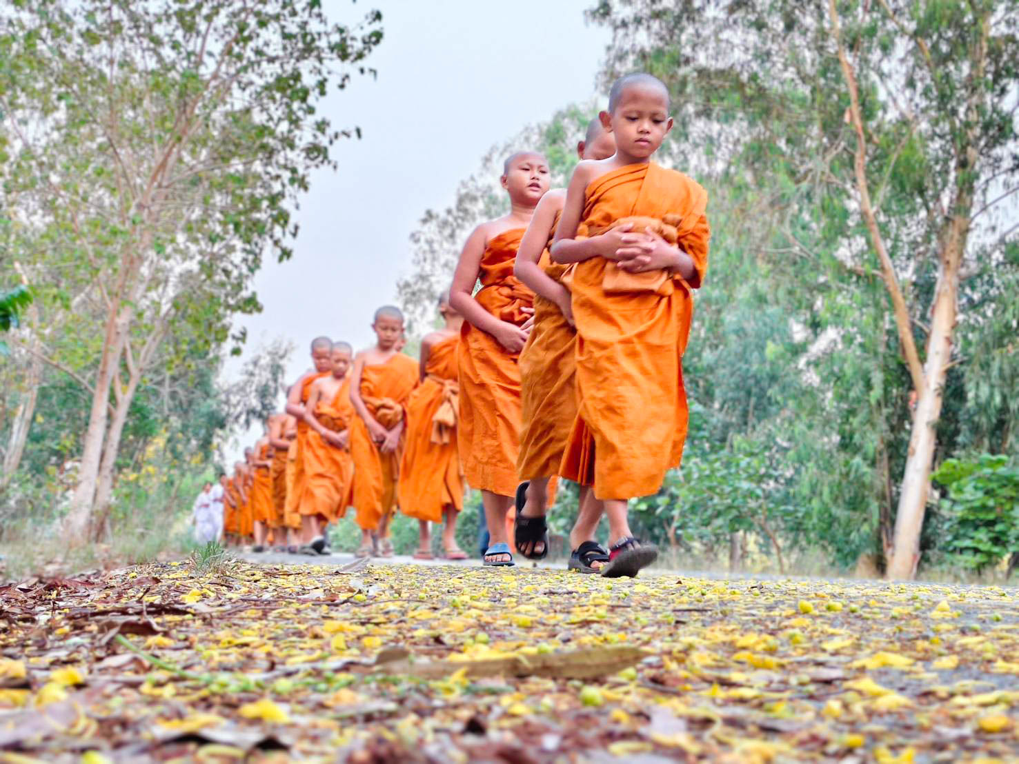  พลังแห่งความเพียร! คณะพระอาจารย์ สามเณร และเนกขัมมะจาริณี ภาคฤดูร้อน รุ่นที่ ๑๓ มจร เดินจงกรมยามเช้าเจริญสติ ถวายพระราชกุศลแด่สมเด็จพระนางเจ้าสิริกิติ์ พระบรมร...